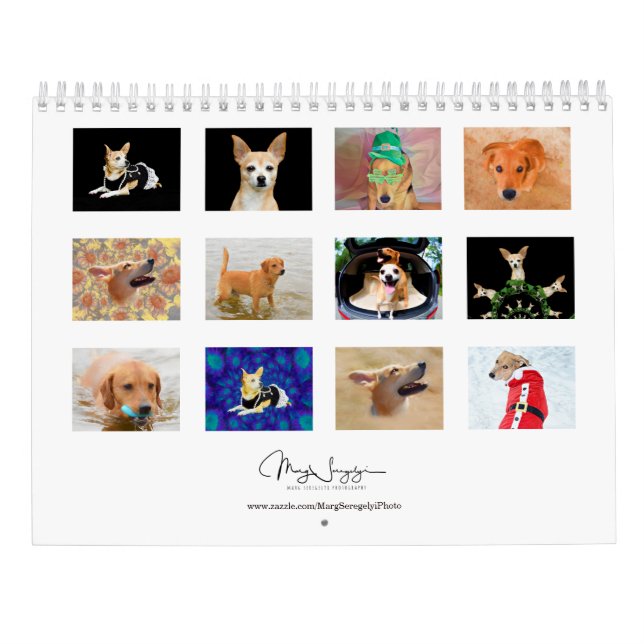Cute Dogs Photo Art Design 2024Monthly Calendar (Back)