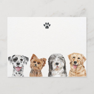 Cute dogs  postcard