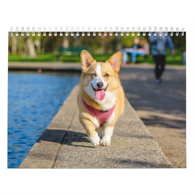 Cute Dogs Simple Minimal Calendar (Cover)