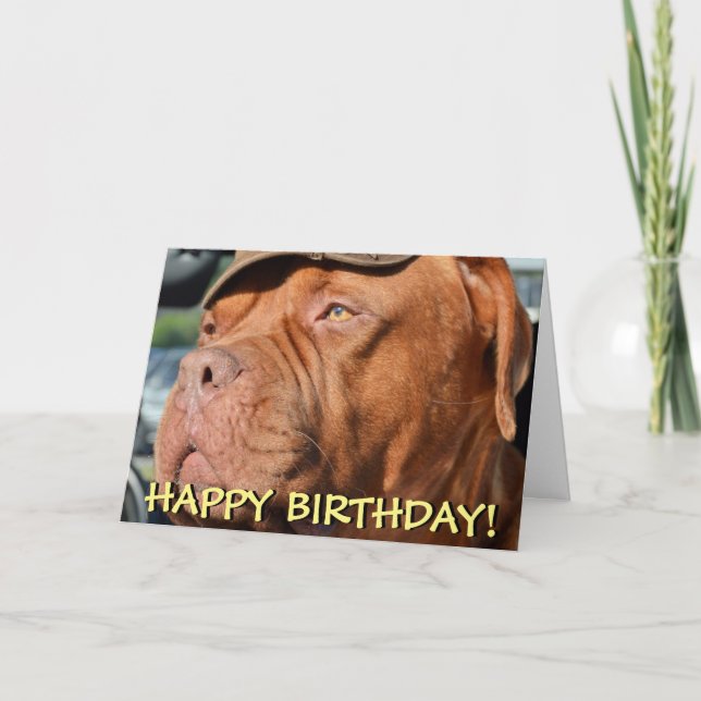 Cute dogue de bordeaux photo birthday card (Front)