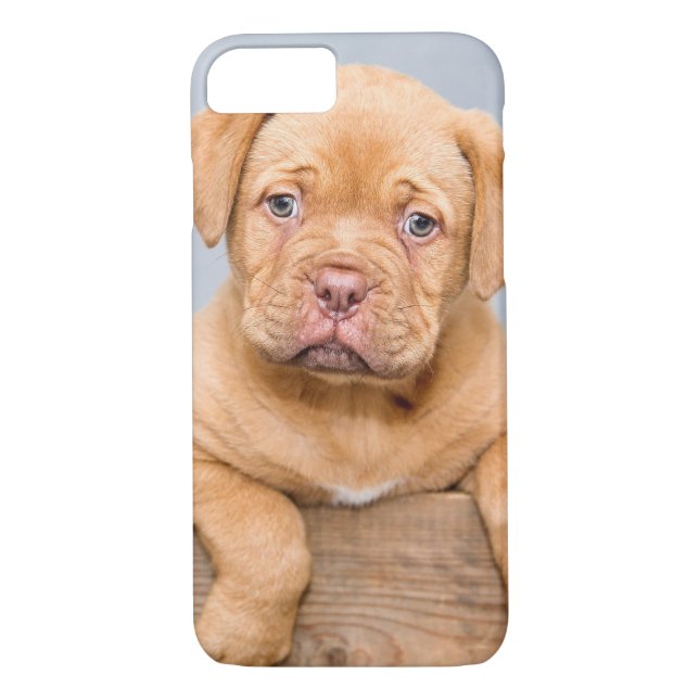 Cute Dogue De Bordeaux Puppy Dog Case-Mate iPhone Case (Back)