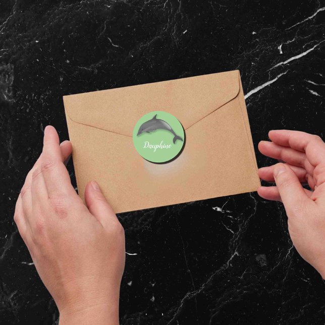 Cute   dolphin  -  add name classic round sticker (Creator Uploaded)