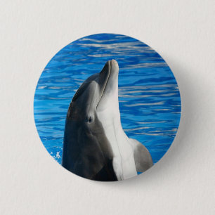 Cute Dolphin Beach Peace Love Party Destiny 6 Cm Round Badge