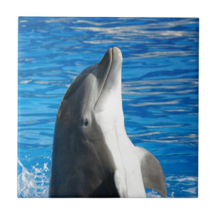 Cute Dolphin Beach Peace Love Party Destiny Tile