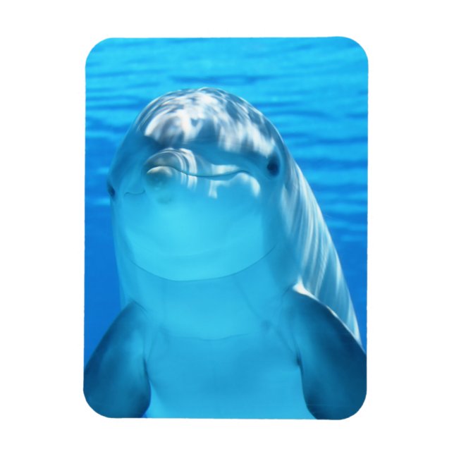 Cute Dolphin Marine Animal in Blue Sea Magnet (Vertical)