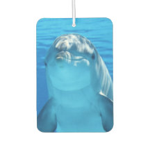 Cute Dolphin Smiling Ocean Dolphin Lover