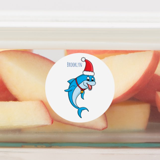 Cute dolphin with Santa hat cartoon  (Affixed)