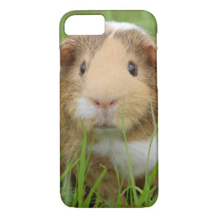Cute Domestic Guinea Pig Case-Mate iPhone Case