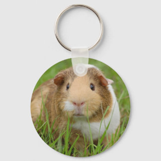Cute Domestic Guinea Pig Key Ring