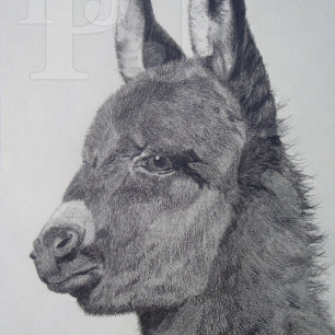 Cute donkey original life like drawing art jigsaw puzzle