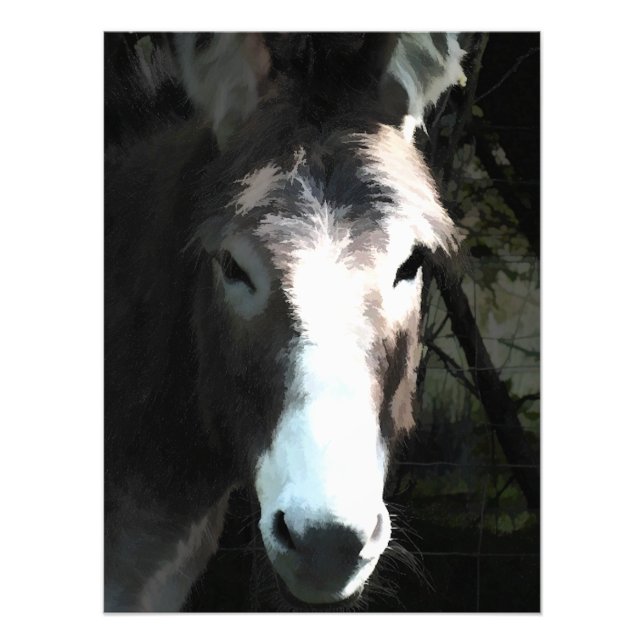 CUTE DONKEY PHOTO PRINT (Front)