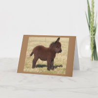 CUTE DONKEY SAYS **HAPPY BIRTHDAY TO YOU**
