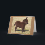 CUTE DONKEY SAYS **HAPPY BIRTHDAY TO YOU** CARD<br><div class="desc">THANKS FOR STOPPING BY ONE OF MY EIGHT STORES!!!</div>