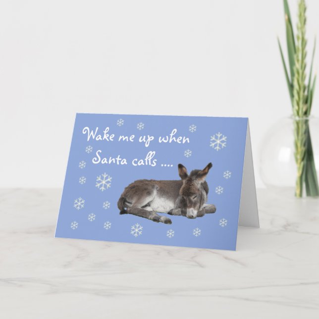 Cute Donkey Snowflakes Blue Christmas Holiday Card (Front)