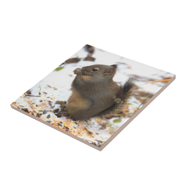 Cute Douglas Squirrel Enjoying a Winter Feast Tile (Side)