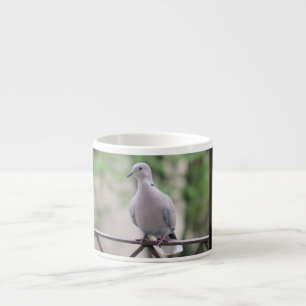Cute Dove White Pigeon Love & Peace Symbol Bird  Espresso Cup
