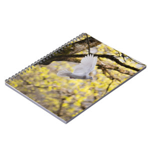 Cute Dove White Pigeon Love & Peace Symbol Bird Notebook