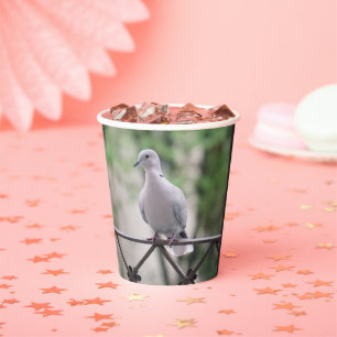 Cute Dove White Pigeon Love & Peace Symbol Bird  Paper Cups