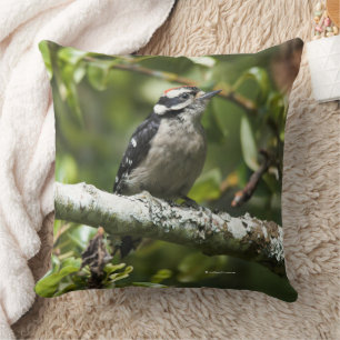 Cute Downy Woodpecker Bird in Pear Tree Cushion