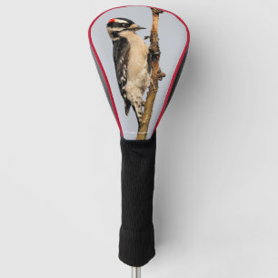 Cute Downy Woodpecker on Fruit Tree Golf Head Cover
