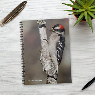 Cute Downy Woodpecker on the Tree Spiral Notebook