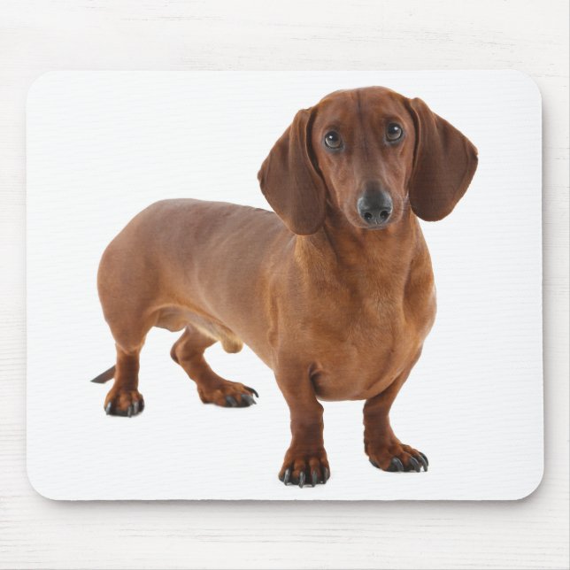 Cute Doxin Wiener Puppy Dog Lover Gift Dachshund Mouse Pad (Front)