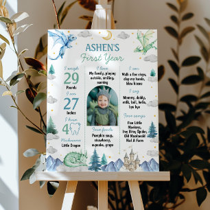 Cute Dragon Boy 1st Birthday Party Milestone Sign