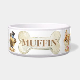 Cute Dressed Up Dogs Corgi Pug Dachshund Sheepdog