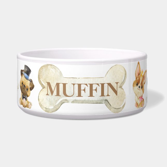 Cute Dressed Up Dogs Corgi Pug Dachshund Sheepdog (Front)