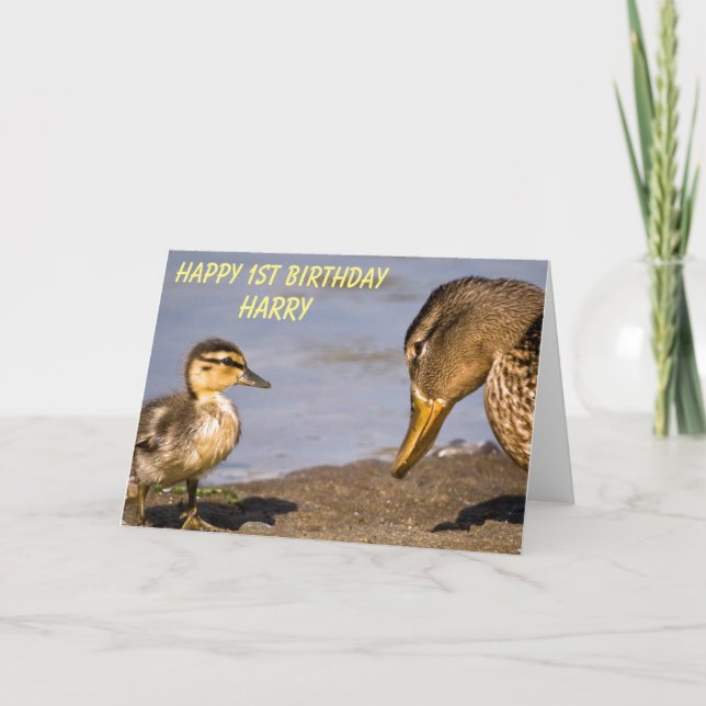 Cute Duck and Duckling Personalised Birthday Card (Front)