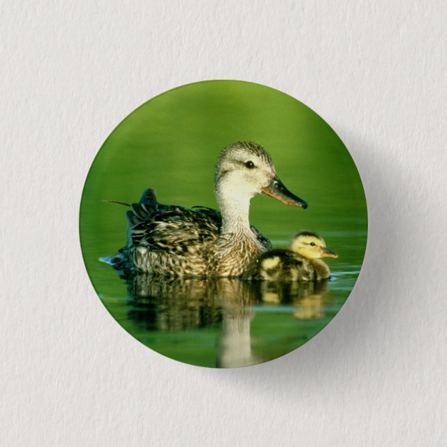 Cute Ducks Button (Front)