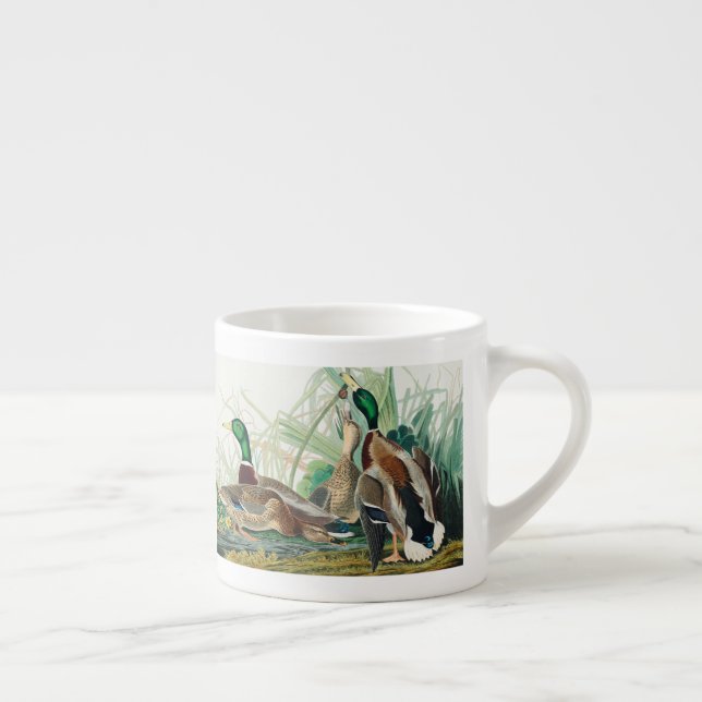 Cute Ducks from Birds of America (Audubon) Espresso Cup (Right)