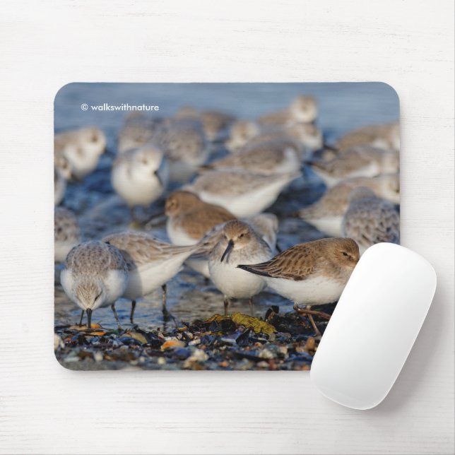 Cute Dunlins Sanderlings Sandpipers at Beach Mouse Pad (With Mouse)