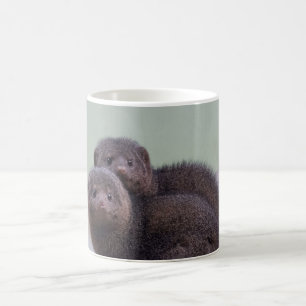 Cute Dwarf Mongoose Pair Coffee Mug