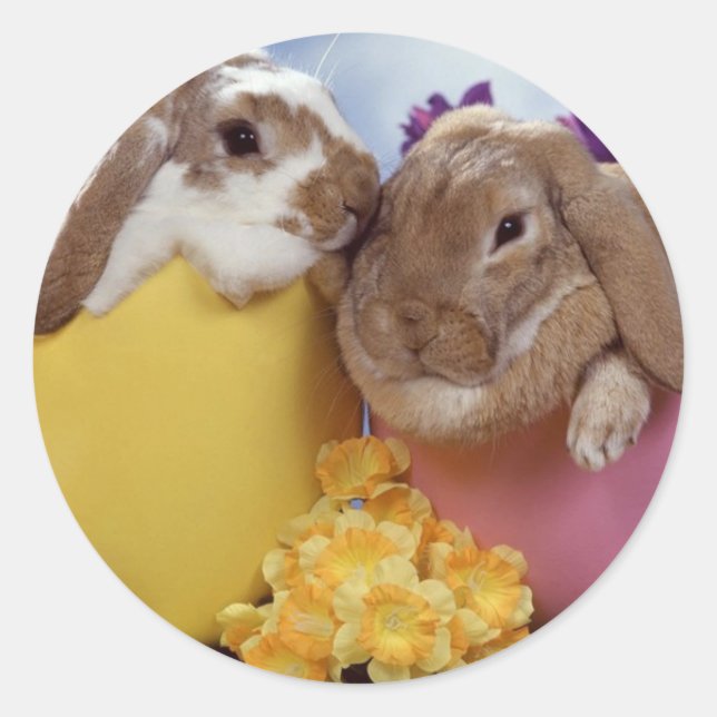 Cute Easter Bunny inside Eggs Classic Round Sticker (Front)