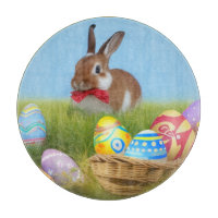 Cute Easter Bunnyfor a positive mood 