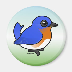 Cute Eastern Bluebird Magnet