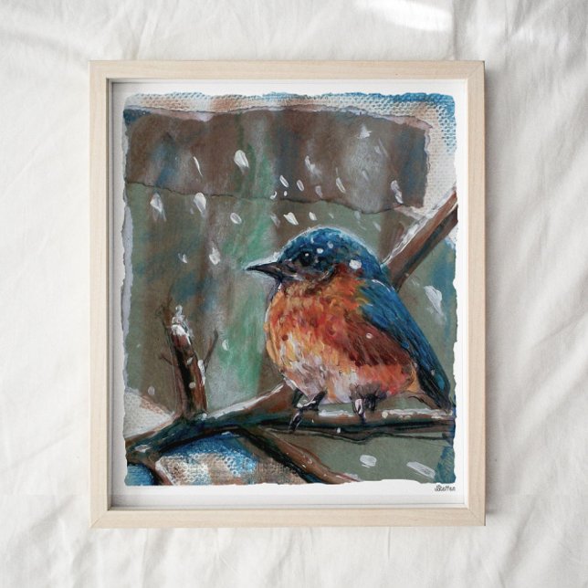 Cute Eastern Bluebird Winter Art Print (Creator Uploaded)