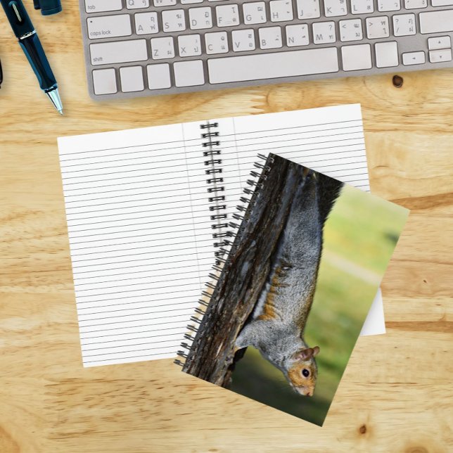 Cute Eastern Grey Squirrel Nature Photo Notebook (In Situ)