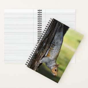 Cute Eastern Grey Squirrel Nature Photo Notebook