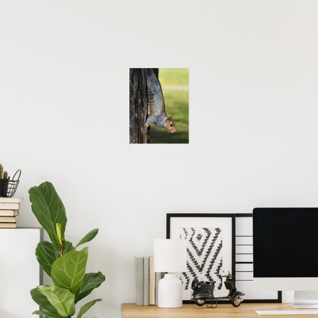 Cute Eastern Grey Squirrel Nature Photo Poster (Home Office)