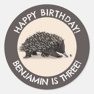 Cute echidna and bee cartoon personalised birthday classic round sticker