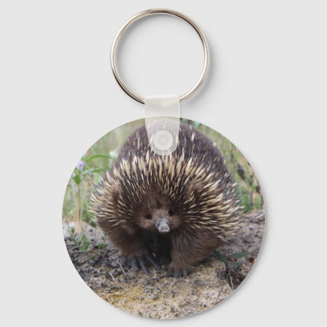 Cute Echidna from Australia Key Ring (Front)