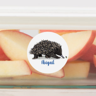 Cute echidna with bee cartoon illustration