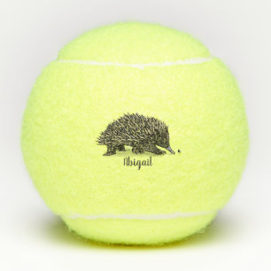 Cute echidna with bee cartoon illustration tennis balls