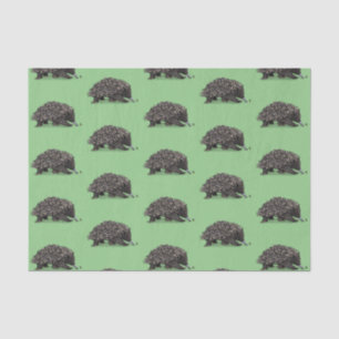 Cute echidna with bee cartoon illustration tissue paper