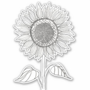 Cute Elegant Boho Black and White Pencil Sunflower