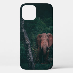 CUTE ELEPHANT iPhone 12 CASE