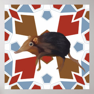 Cute Elephant Shrew Fun Colorful Pattern Poster