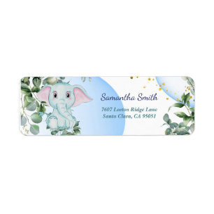 Cute Elephant with Eucalyptus with Blue Bubble